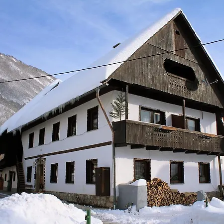 Pekovec Bohinj